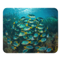 School of fish pad